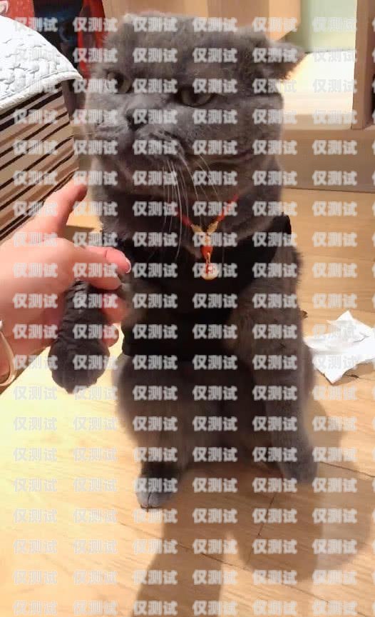 藍貓電銷卡——好用與安全的權衡藍貓電銷卡好用嗎安全嗎可靠嗎