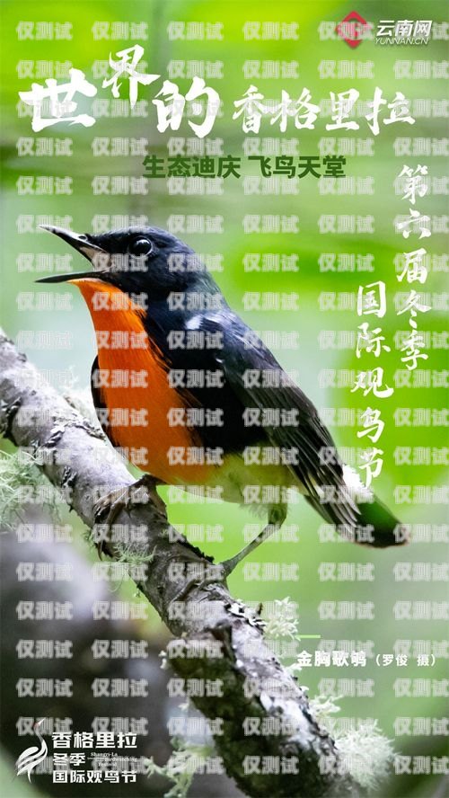訓鳥外呼系統，助力鳥類訓練的創新工具飛鳥外呼