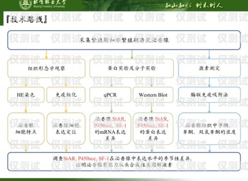 徐州外呼系統是否有效？探究外呼系統的優勢與挑戰徐州呼叫中心