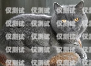 藍貓電銷卡全名及相關信息藍貓電銷卡全名叫什么