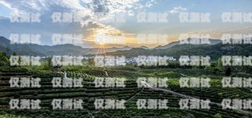 武夷山北緯電銷卡，探索中國茶產業的創新之路武夷山北緯電銷卡電話號碼