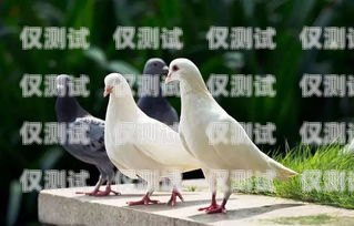 飛鴿外呼系統(tǒng)好不好用呀？飛鴿外呼系統(tǒng)好不好用呀