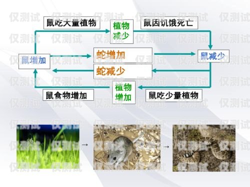 沈陽外呼系統穩定嗎？沈陽外呼公司