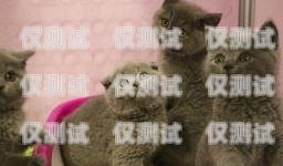 揭秘?zé)o錫藍(lán)貓電銷卡——合法合規(guī)的電銷神器無(wú)錫藍(lán)貓電銷卡怎么辦理