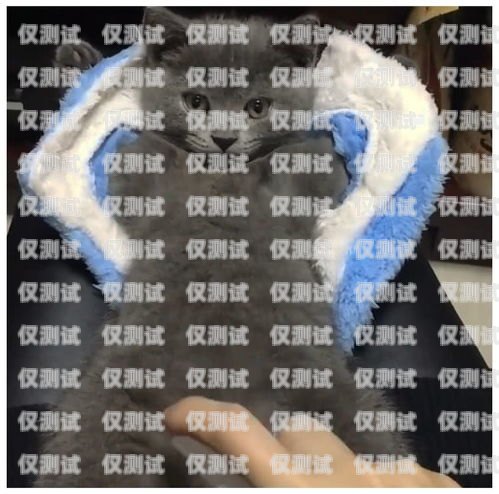 揭秘?zé)o錫藍(lán)貓電銷卡——合法合規(guī)的電銷神器無(wú)錫藍(lán)貓電銷卡怎么辦理
