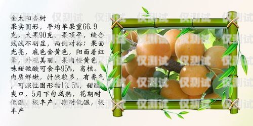貴陽銷售外呼系統報價指南貴陽外呼公司有哪些