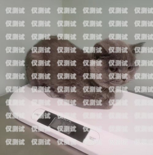 藍(lán)貓電銷卡激活要錢(qián)嗎？藍(lán)貓電銷卡激活要錢(qián)嗎安全嗎