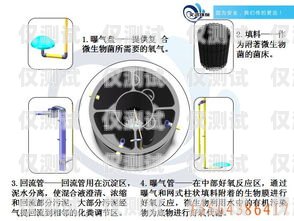 汶上智能外呼系統，提升客戶體驗的創新工具山東智能外呼系統價格