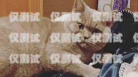 藍貓電銷卡客服電話——提供專業(yè)服務的橋梁藍貓電銷卡客服電話是多少