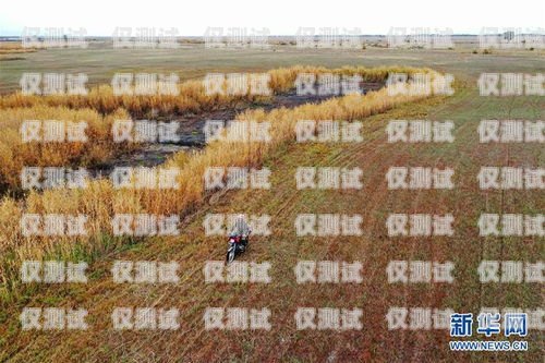 阿勒泰外呼系統(tǒng)型號(hào)推薦阿勒泰 6635