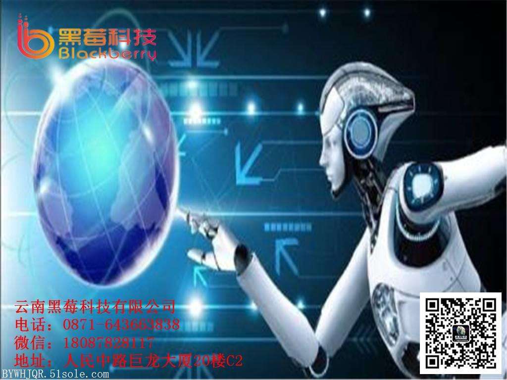 百應電話機器人合作單價(百應機器人代理費用)